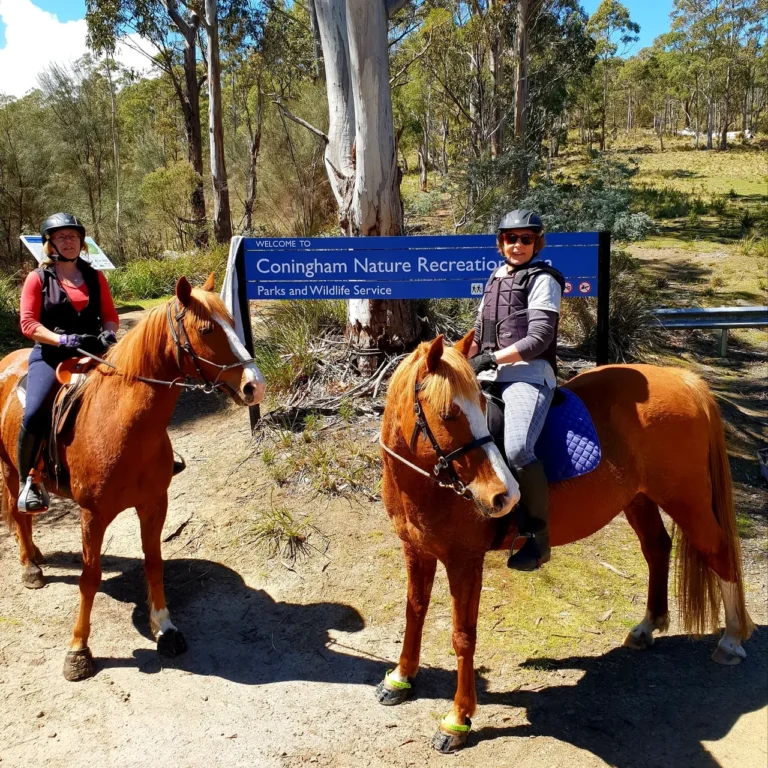 A story about the value of true horsey friendship