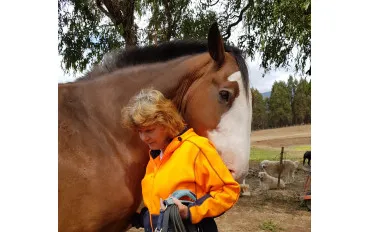A true Horse Woman