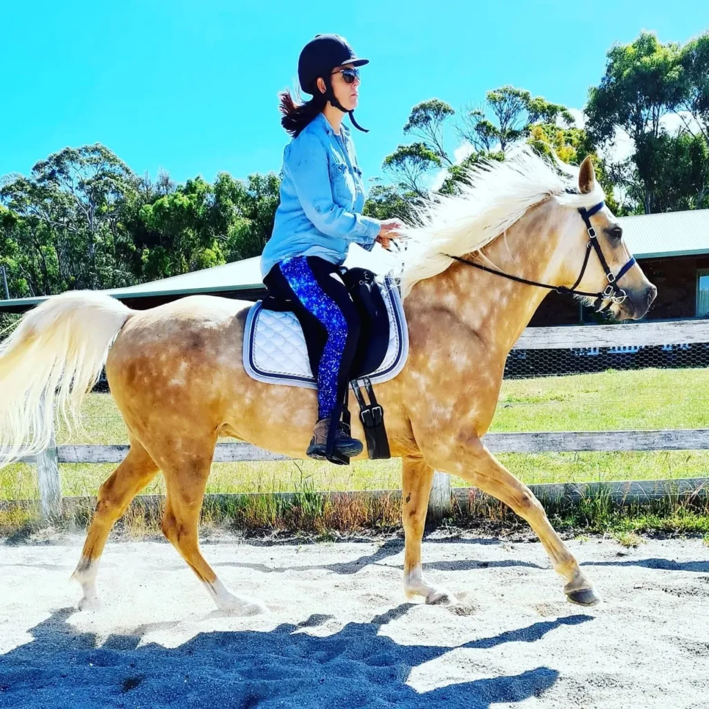 Attributes to look for in a Trail Horse