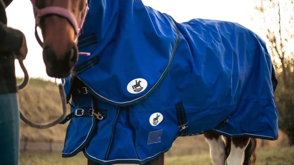 Cool Heat Horse Rugs are back!