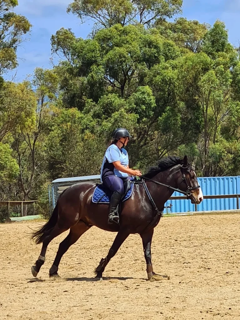 Dann Riding