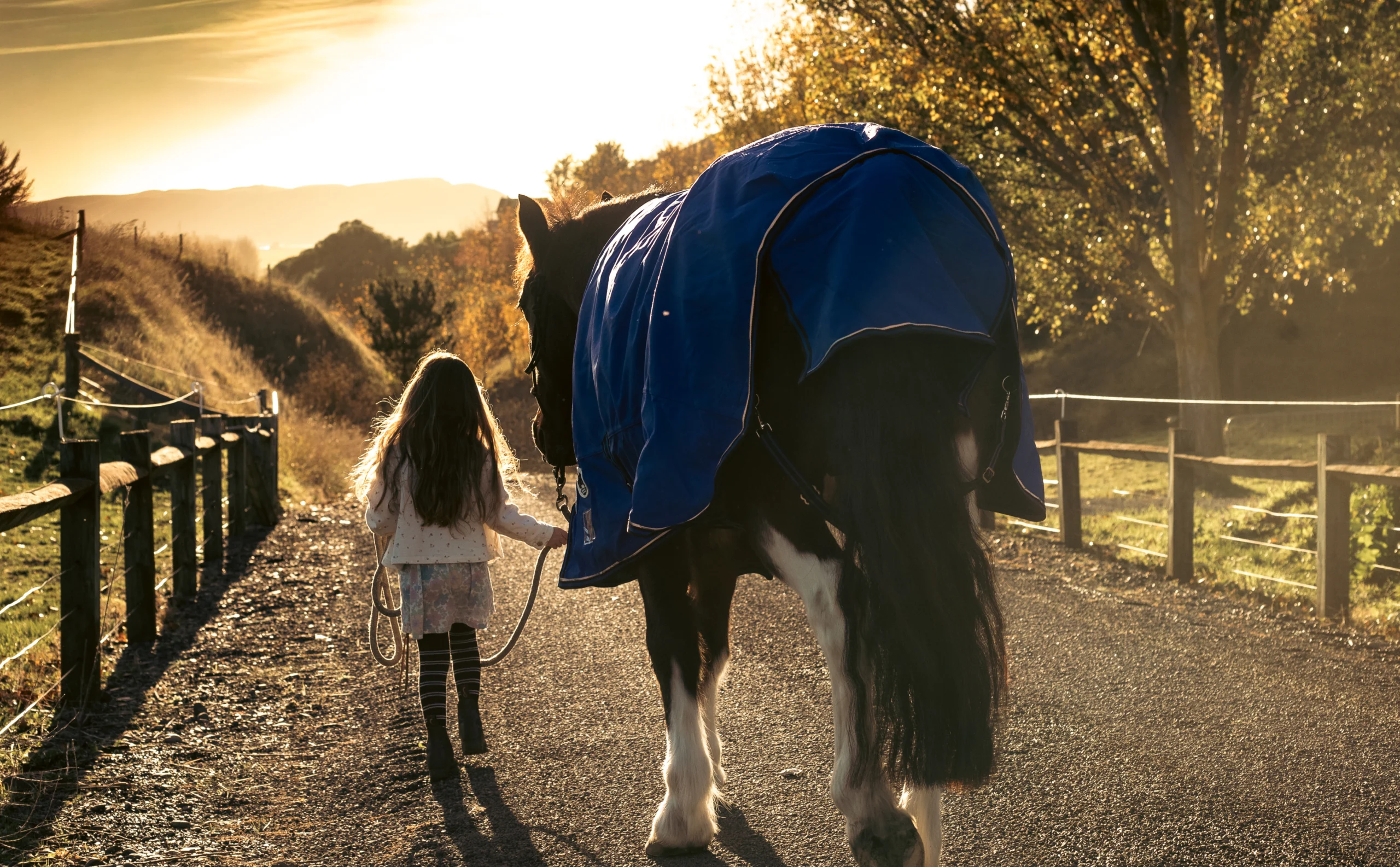 Horse rider