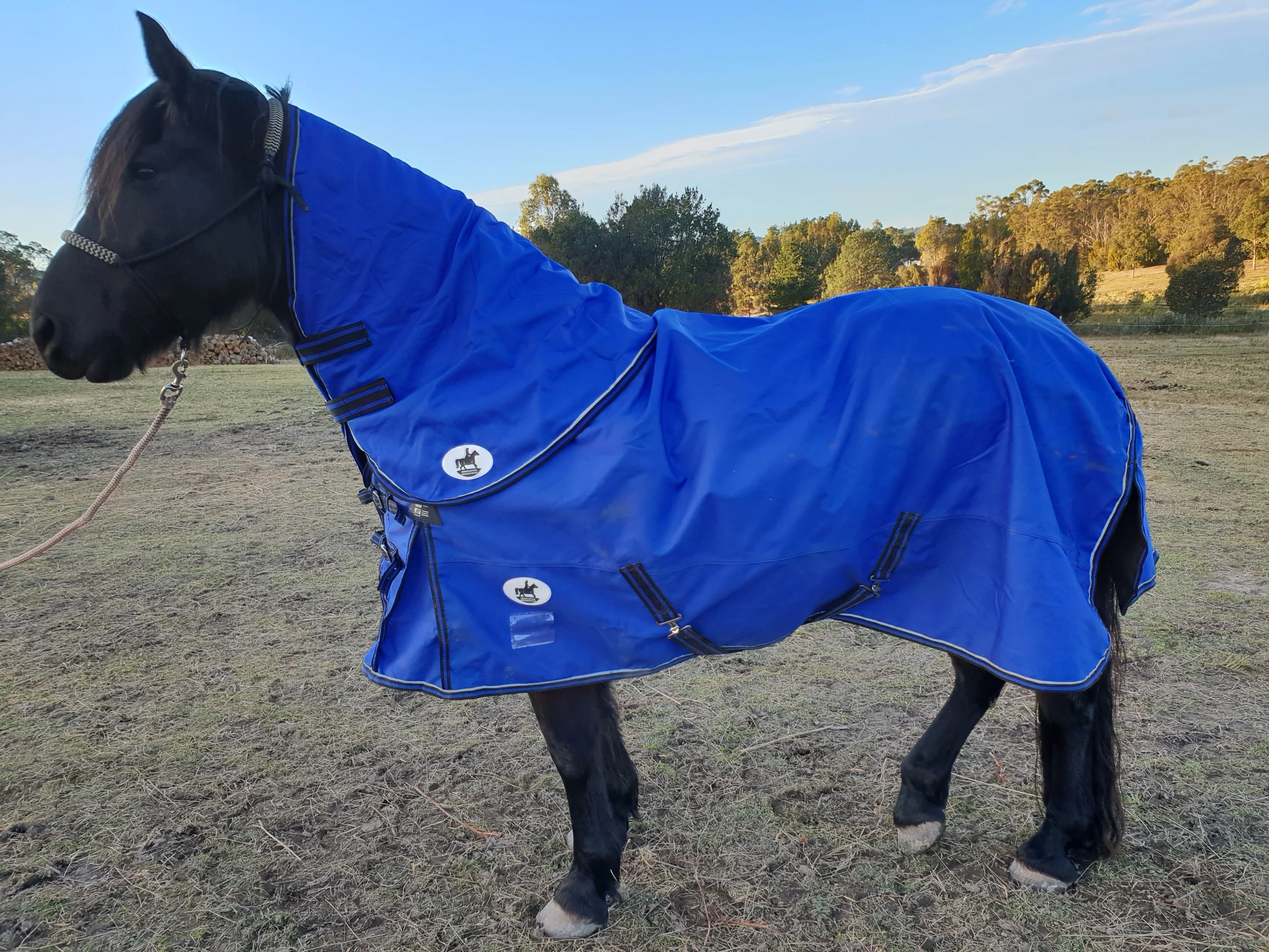 Cool Heat Neck Rug